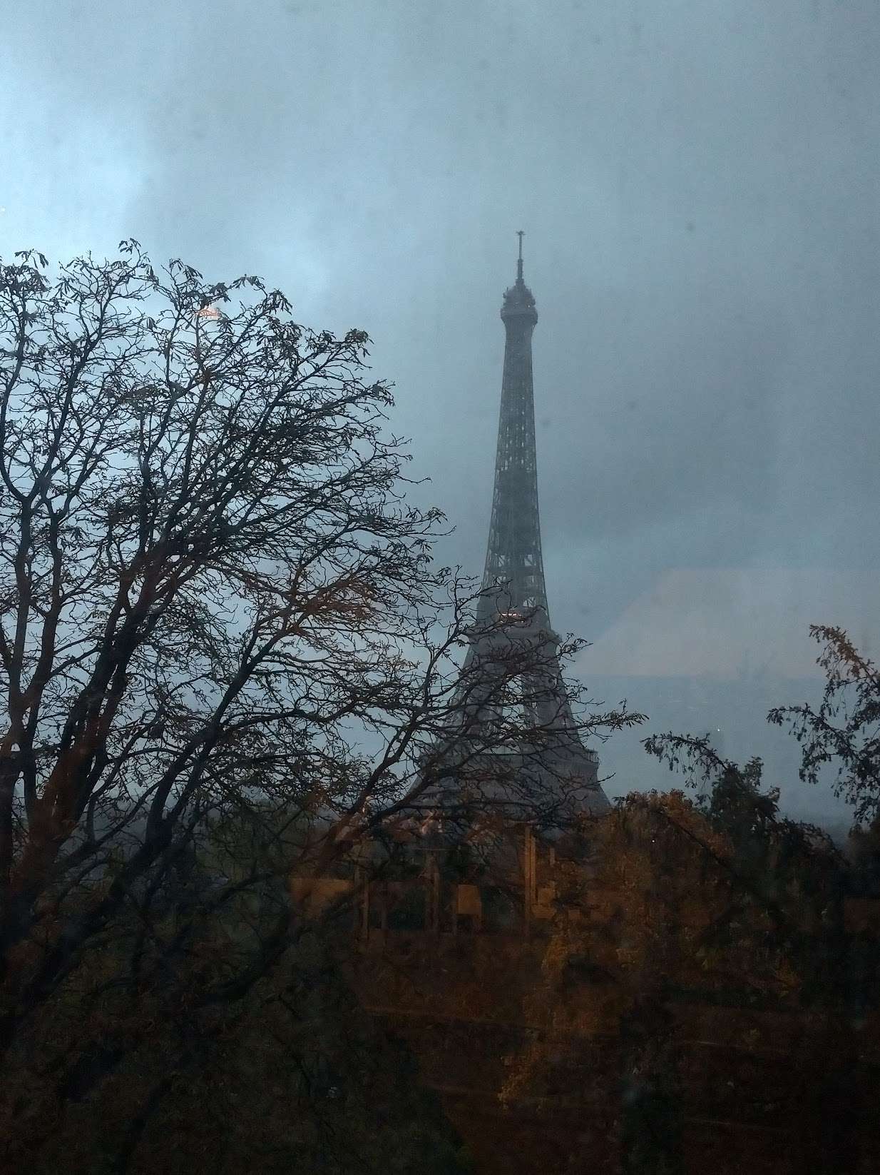 The Eiffel tower with trees in the background